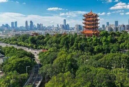 足球中国比分-从比分波动看中国足球，困境中寻突破，希望里见曙光